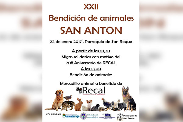BENDICION ANIMALES