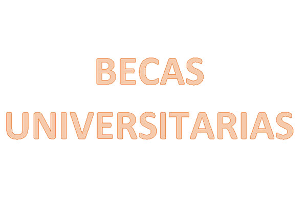 becas universitarias