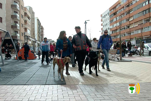 caminata canina