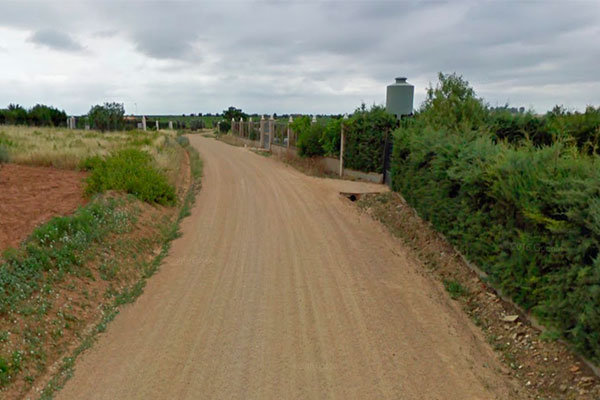 camino lobonn