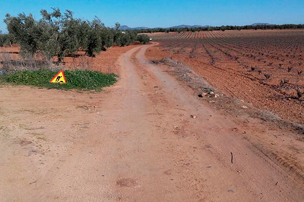caminos