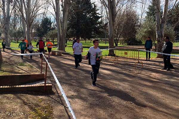 cross adatado