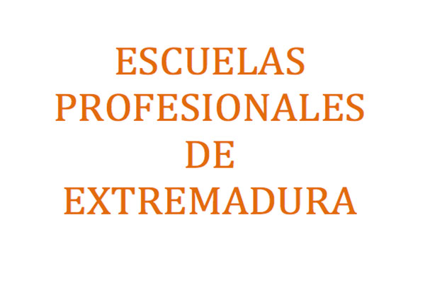 escuelas profesionales texto