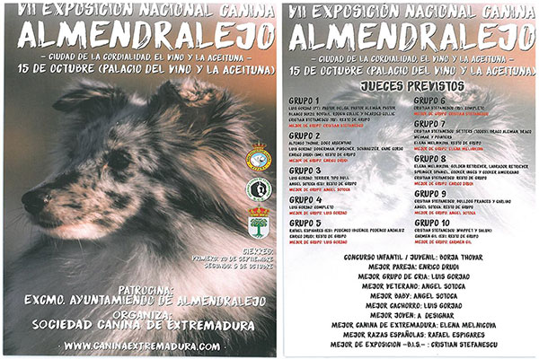 exposicion canina