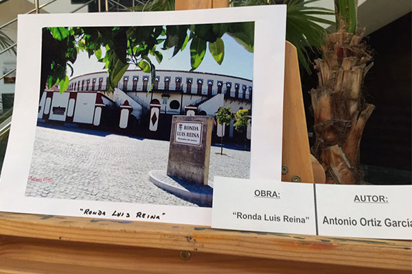 ganador foto taurina