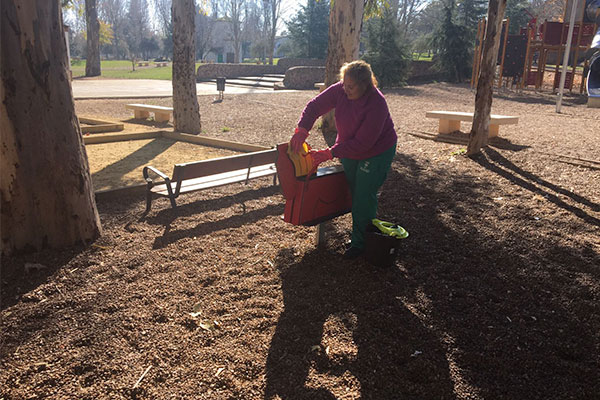 limpieza parques