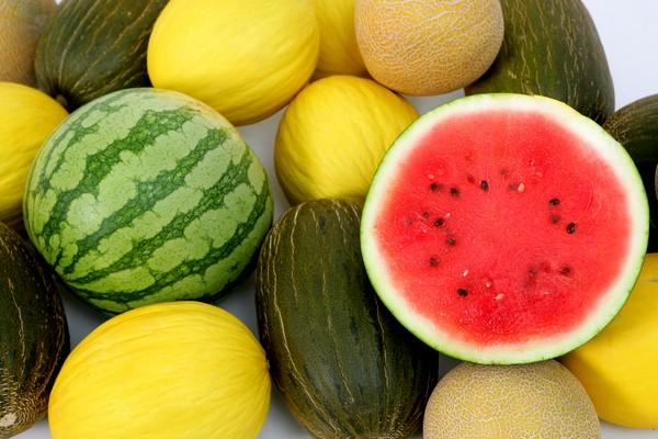 melon sandia frutas verano
