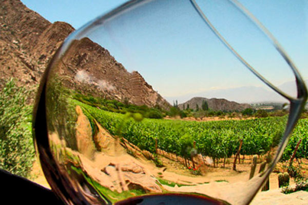 ruta del vino