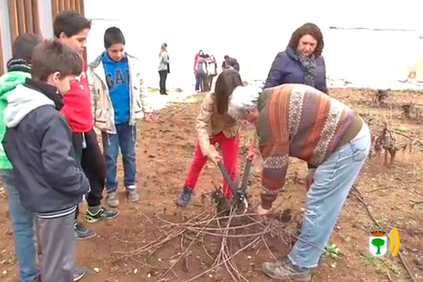 taller de poda