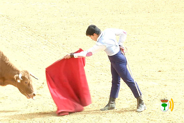 tentadero