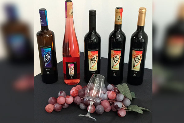 vinos del museo del vino